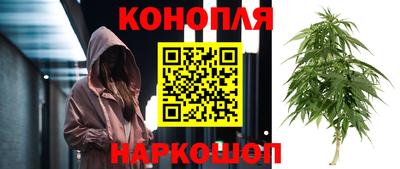ешки Аргун