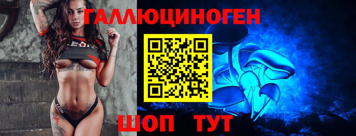 Псилоцибиновые грибы GOLDEN TEACHER Волжск