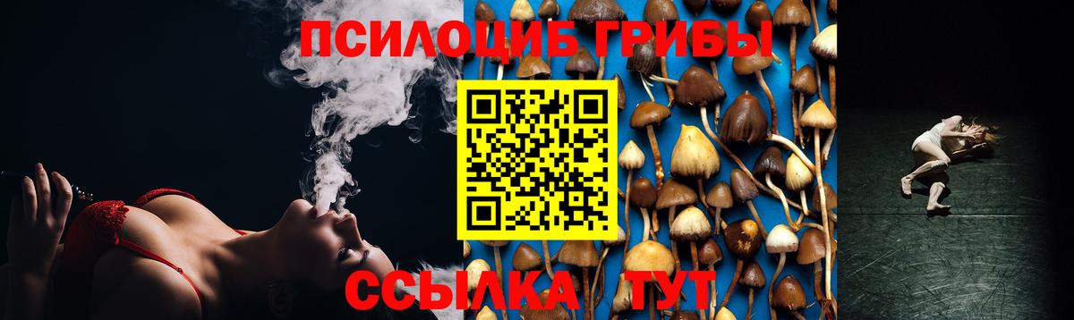 где можно купить   Вход с VPN  Волжск  Псилоцибиновые грибы Psilocybine cubensis 